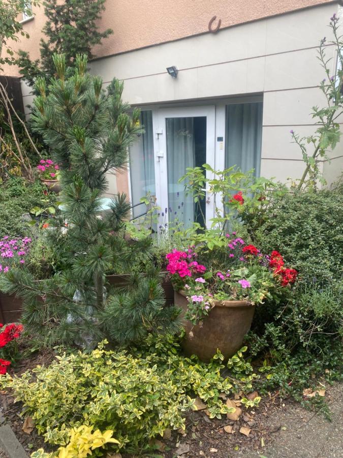 Apartment Morning 5 Adults Only Gdynia