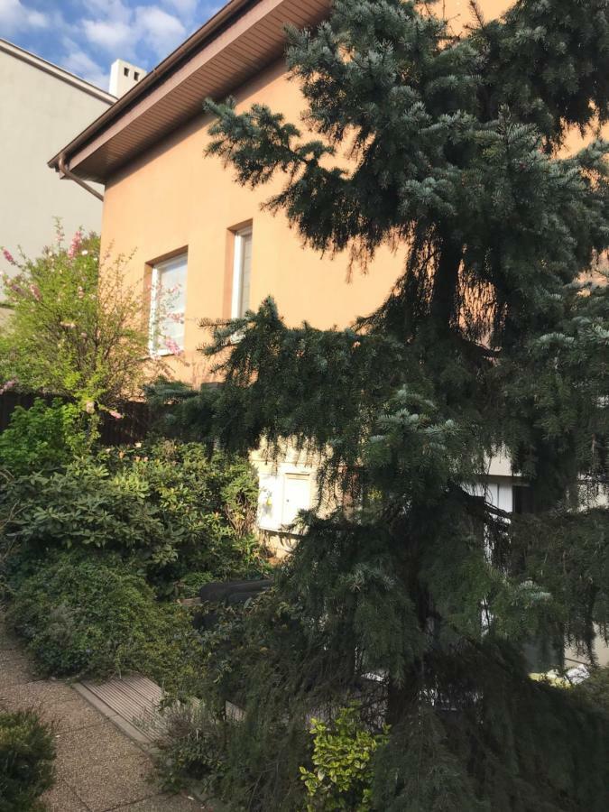 Morning 5 Adults Only Apartment